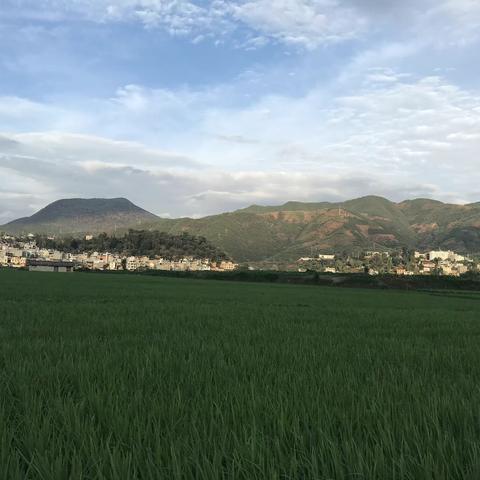 抓住学期末的尾巴 翠华镇幼儿园全体教师开展家访招生宣传工作