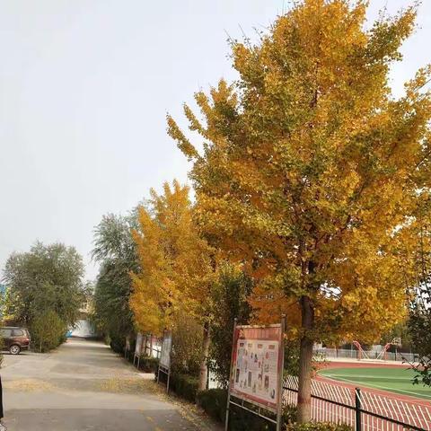 担当作为，真做教育；狠抓落实，做真教育-----记田马园小学家长开放日活动