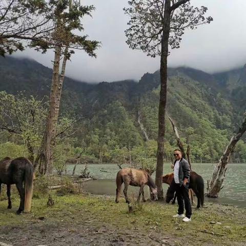 情定永建汽车、畅游巴王海