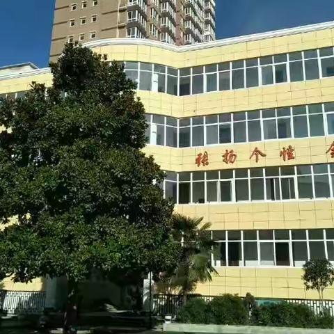 山阳县青少年学生校外活动中心网络教学纪实（二）