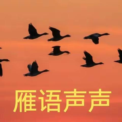 雁语声声|| 作者/杨占河