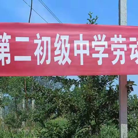 留固镇第二初级中学劳动实践基地揭牌仪式