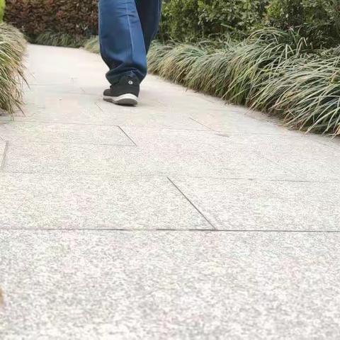 忞勜的美篇