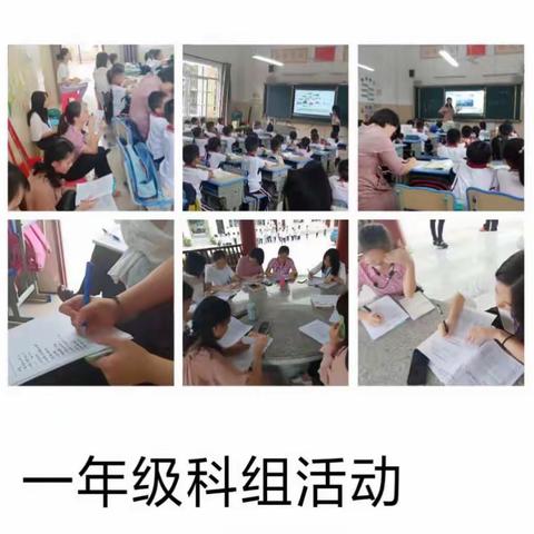 热情洋溢，激情似火———海瑞学校小学语文组教研活动暨新教师汇报课、评课进行中