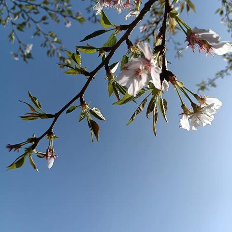 如果人终究要死去，那么活着的意义又是什么？