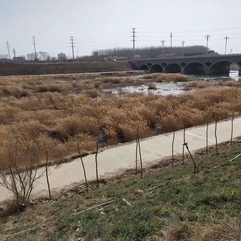 新华街道新南社区开展雨期防洪防汛安全隐患排查工作