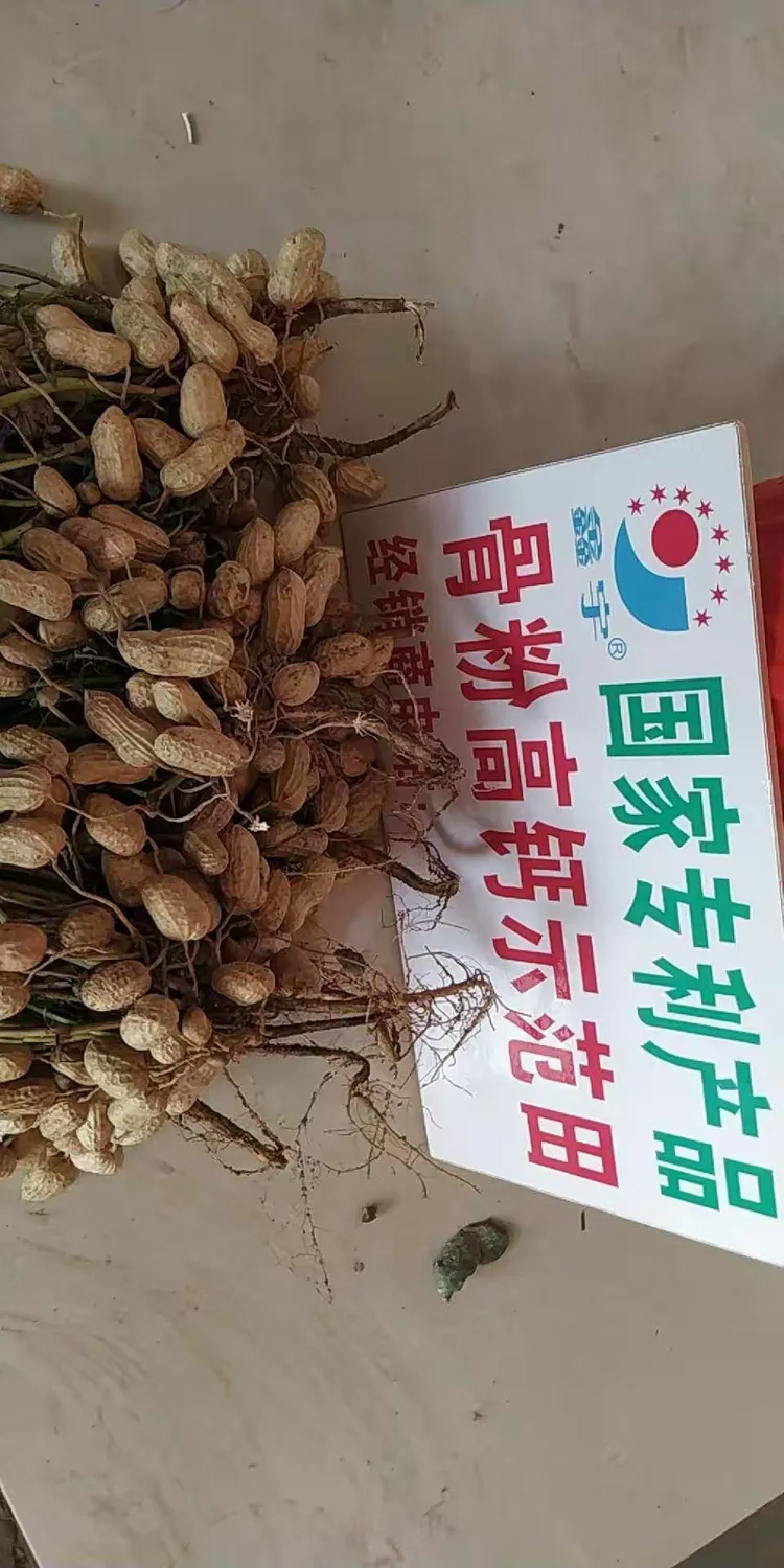 鑫宇绿叶骨粉高钙肥神奇效果!