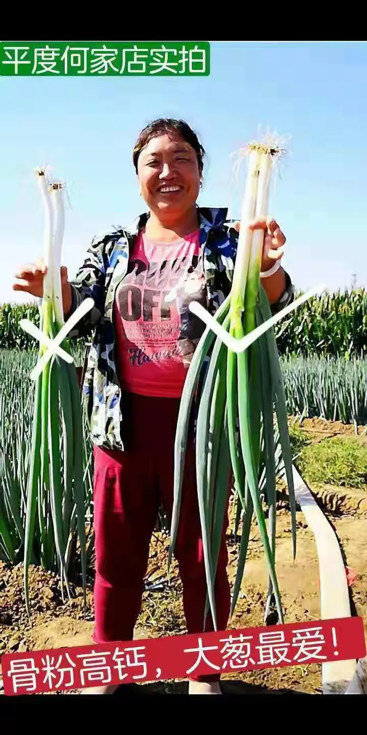鑫宇绿叶骨粉高钙肥神奇效果!