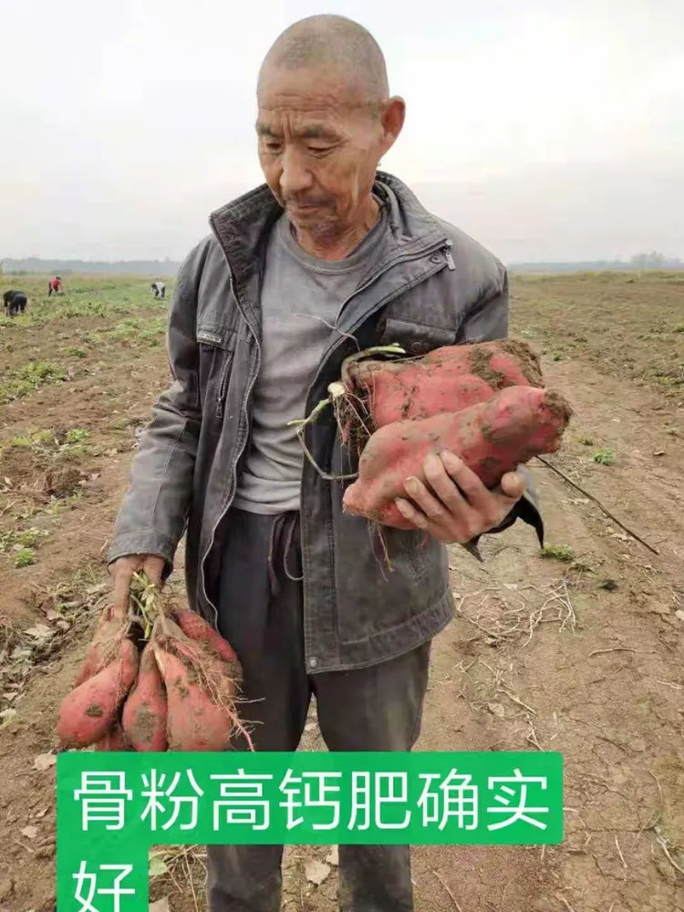 鑫宇绿叶骨粉高钙肥神奇效果!