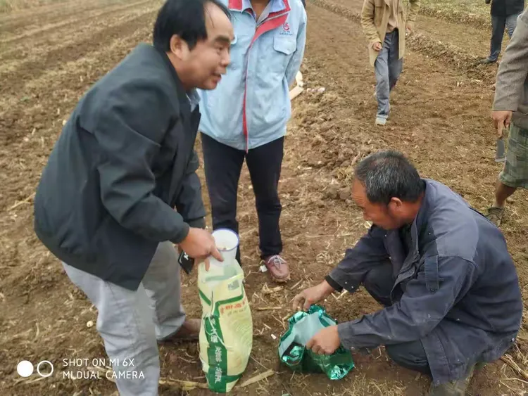 鑫宇绿叶骨粉高钙肥神奇效果!