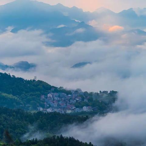 永嘉县茗岙乡位于小南溪流域，地处永嘉县西北部，海拔五百多米，森林生态保持良好。