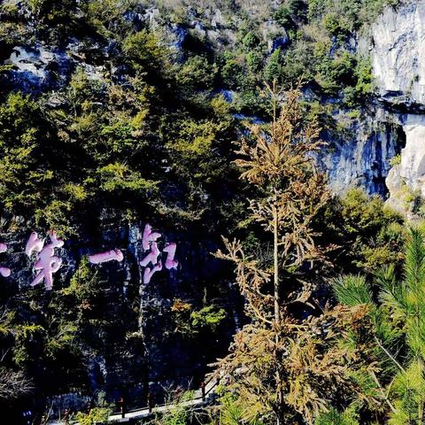 重庆云阳龙缸地质公园