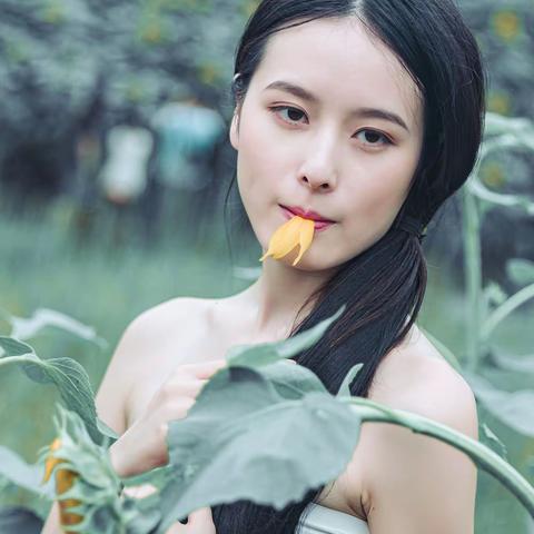你好！我的向日葵姑娘