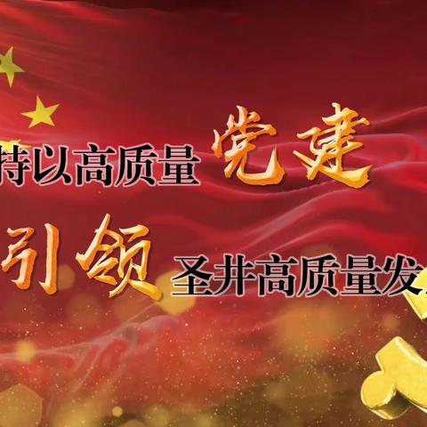 【“1463”圣井答卷（党建篇）】坚持以高质量党建 引领圣井高质量发展