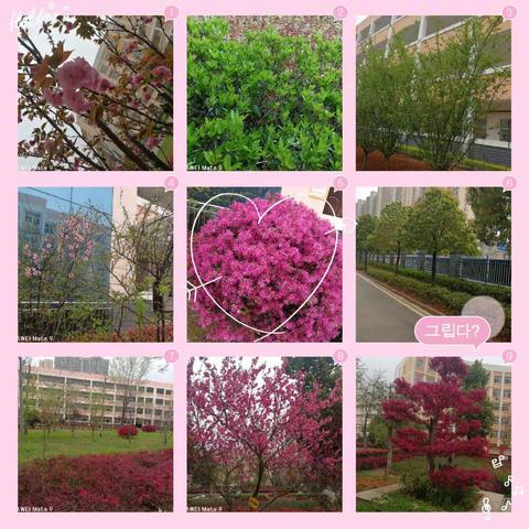 共抗疫情，做未来先锋                           ——蕲春县实验小学二（2）班特殊时期的记忆