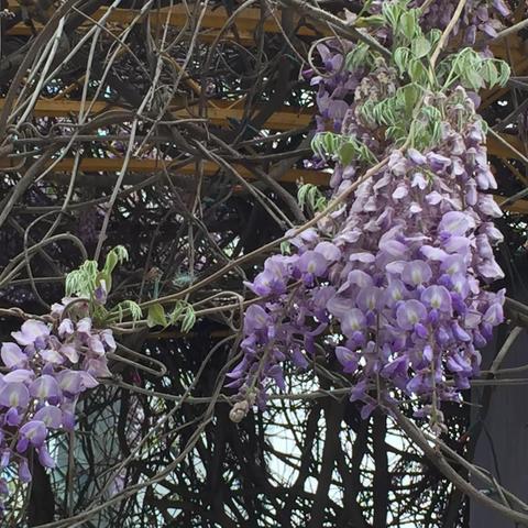 当城市放慢了脚步！