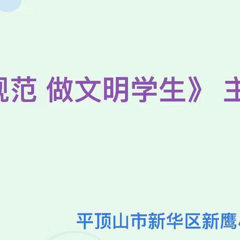 新鹰小学二（2）“学行为规范  做文明学生”少先队活动