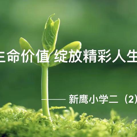 新鹰小学二（2）班“感悟生命价值 绽放精彩人生”少先队活动