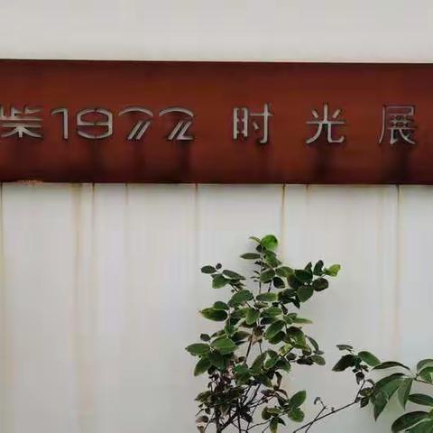 合柴1972（六）2020.10.06