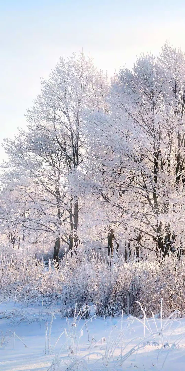 冬天的风景