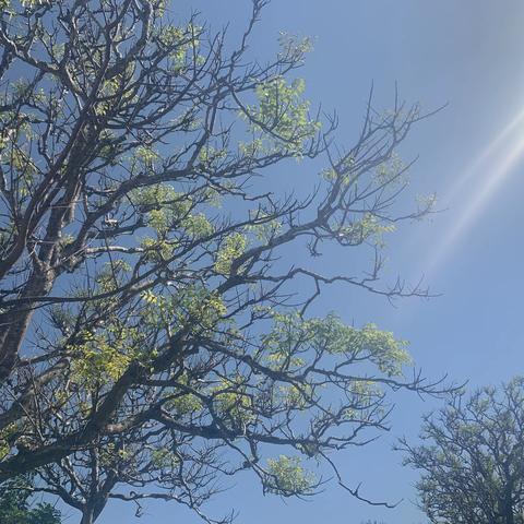走着走着，花就开了一一数学教研团队一学期活动记录