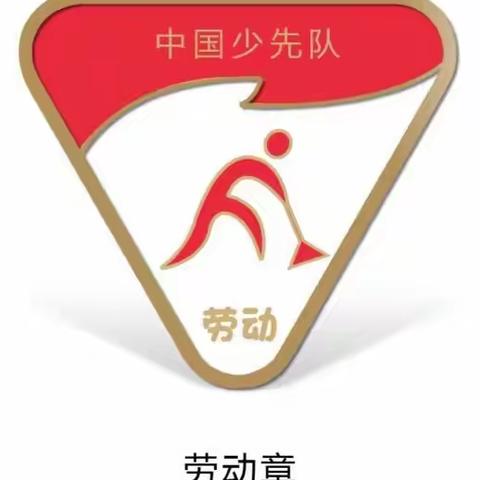 劳动最光荣 争章好少年          —王诗浩劳动章争章活动纪实