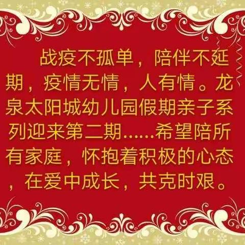 “停课不停学 成长不延期”----龙泉太阳城幼儿园元宵节专题活动（中班 第二期）