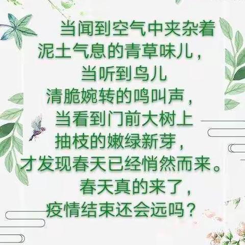 “停课不停学 成长不延期”----龙泉太阳城幼儿园亲子活动活动（中班 第四期）