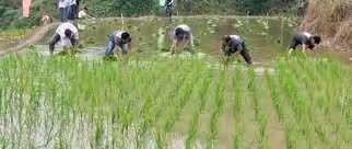 我的少年“糗事”