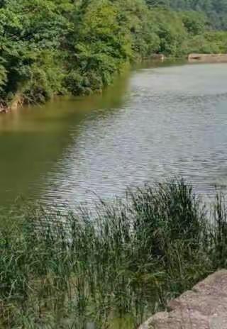 老家门前那条河