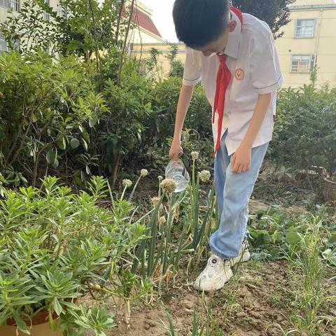 六七中队 德育