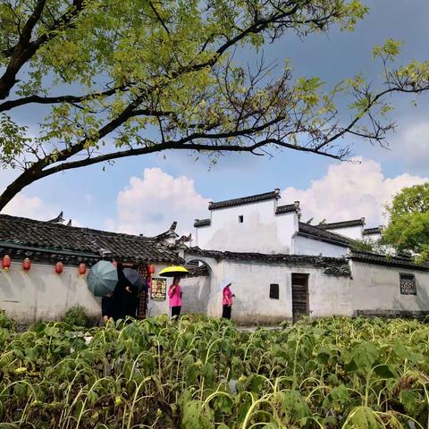 梦幻黄山，古韵徽州——2019年夏徽州游记