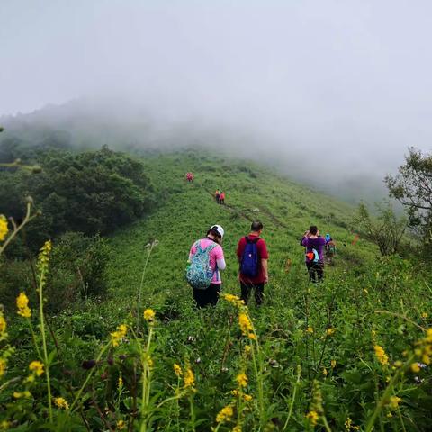 满山奇异金莲花，人间胜景二驼梁 ——徒步穿越南北驼梁游记【2】