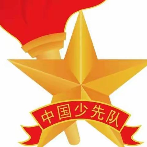 盐湖区红军小学预备队员队前学习