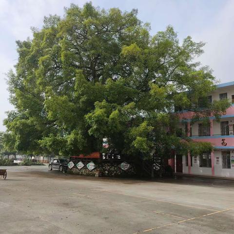 携手古校 齐心共建少年宫——暨浙江大学赴广西宜州区怀远镇中心小学暑期社会实践团队夏令营第九天