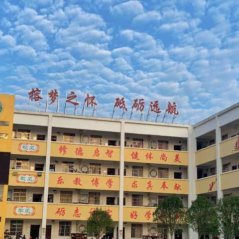 红领巾看“全会”少先队活动课——宜州区怀远镇中心小学五（2）中队