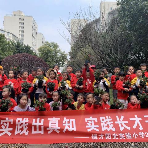 参加“同植青春树，添绿新生活”实践活动