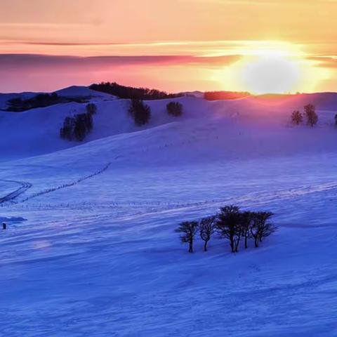 雪景的魅力  沈阳同城