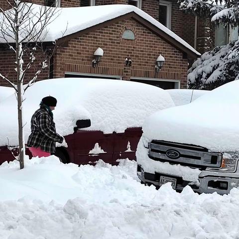 小区里的大雪