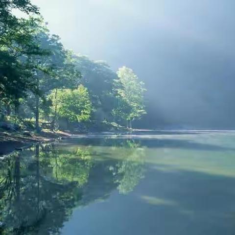 清明的雨