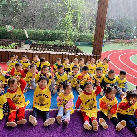 宅家记——灵猴一周趣事