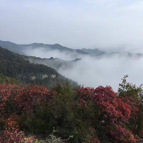 山水之间的秘密