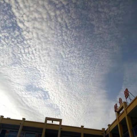 仙台镇中心校–实验学校疫情防控