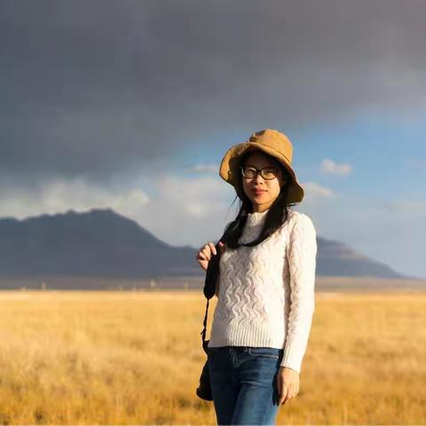 丝绸之路胡杨林2