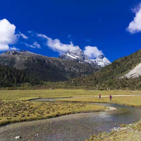地平线团队之腐败洛克线1