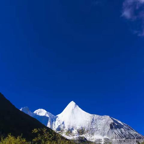 地平线团队之腐败洛克线2