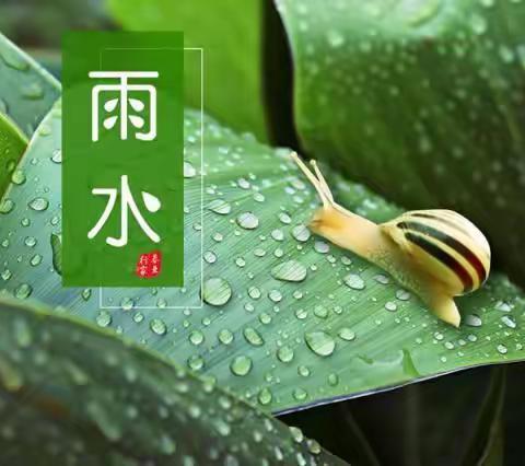 二十四节气·自然之美｜武昌区未来实验小学美林校区24节气之雨水节气主题探究实践活动