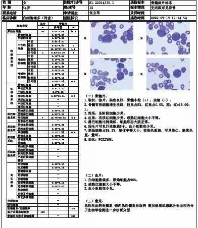 血液科成功用IA方案诱导治疗急性髓系白血病（M0）伴t(6;9)（p23,q34）DEK-NUP214基因突变一例