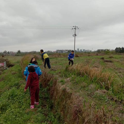 嵩阳村儿童之家主题活动《踏青》