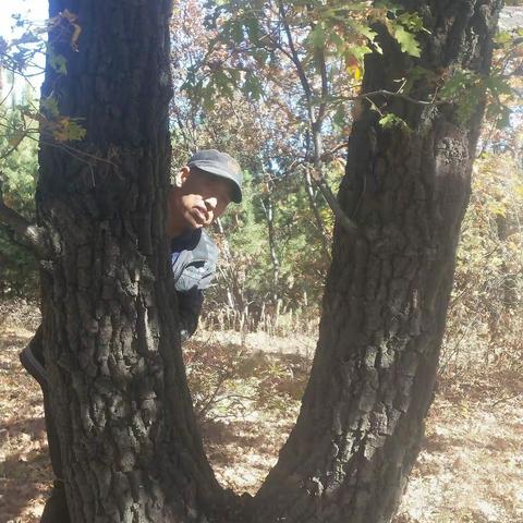 景树君的美篇__岁杪有思